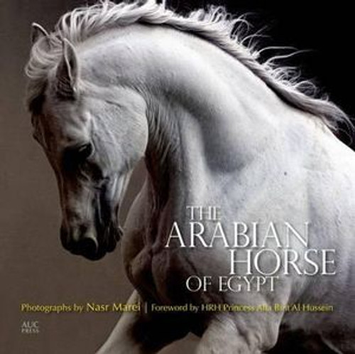 The Arabian Horse of Egypt The Arabian Horse of Egypt