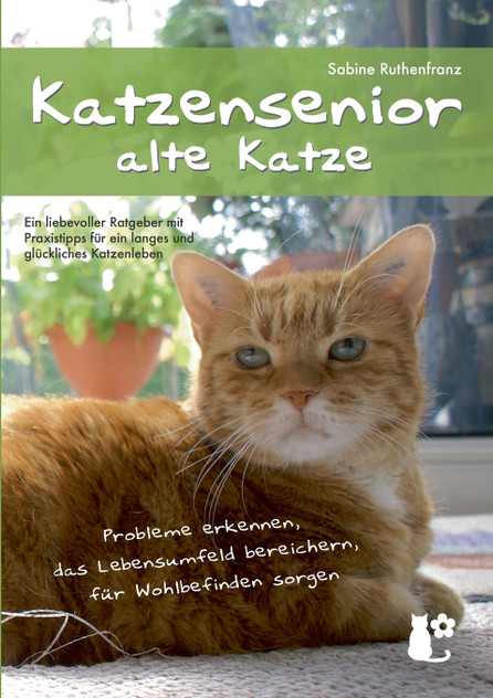 Katzensenior - alte Katze