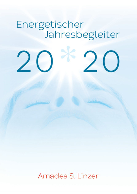 Energetischer Jahresbegleiter 2020