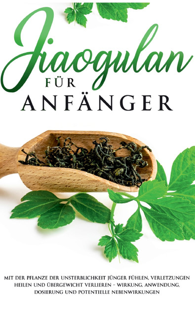 Jiaogulan für Anfänger Jiaogulan für Anfänger