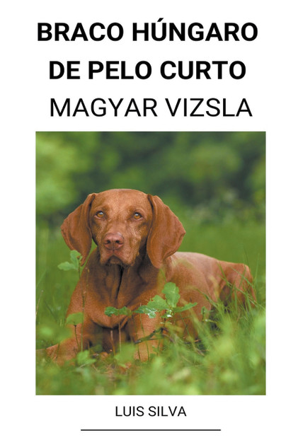 Braco H&#250;ngaro de pelo curto (Magyar Vizsla)