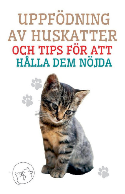 Uppfödning av Huskatter och Tips för att Hålla dem Nöjda