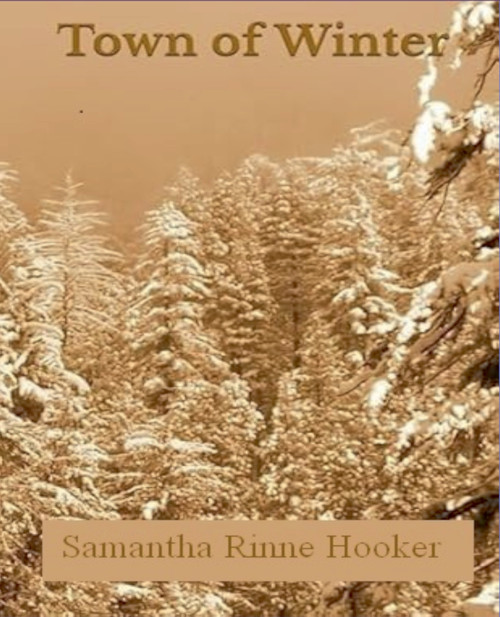 Town of Winter Town of Winter