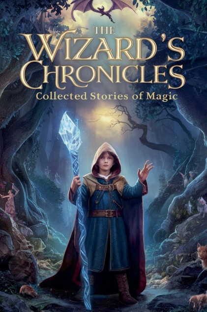 The Wizard's Chronicles The Wizard's Chronicles