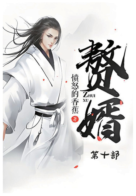 赘婿:第十部 赘婿:第十部