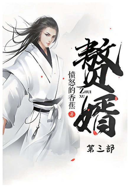 赘婿:第三部 赘婿:第三部