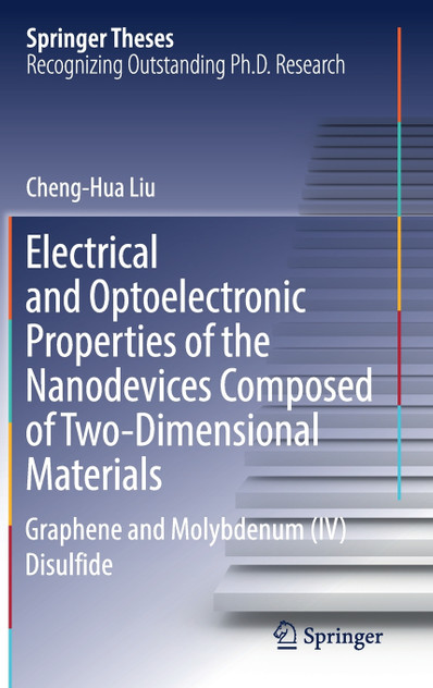 Electrical and Optoelectronic Properties of the Nanodevices Composed of Two-Dimensional Materials