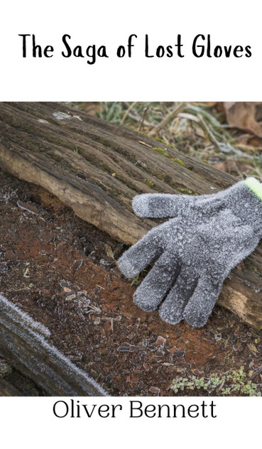 The Saga of Lost Gloves The Saga of Lost Gloves