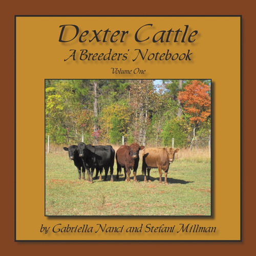 Dexter Cattle Dexter Cattle