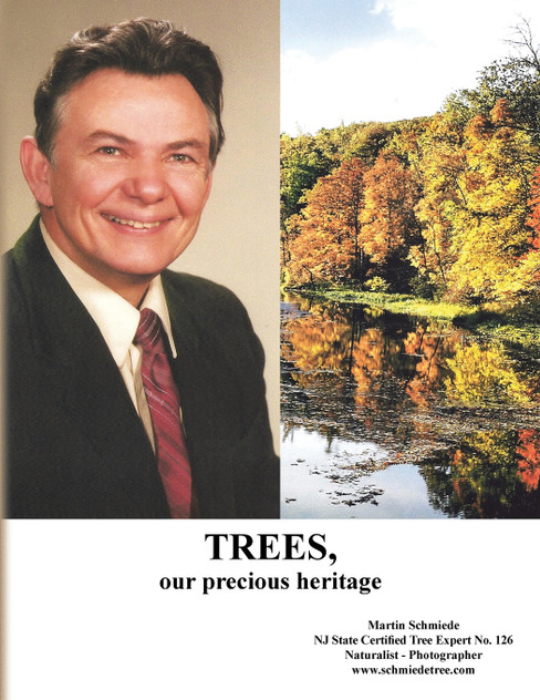 Trees, Our Precious Heritage Trees, Our Precious Heritage