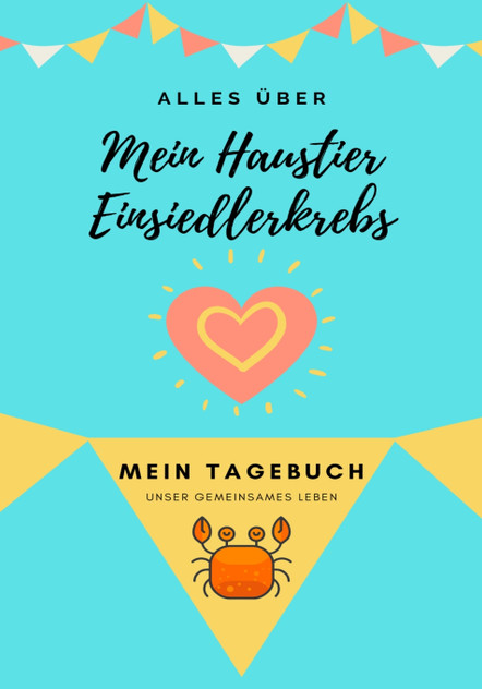 Alles Uber Mein Haustier Einsiedlerkrebs