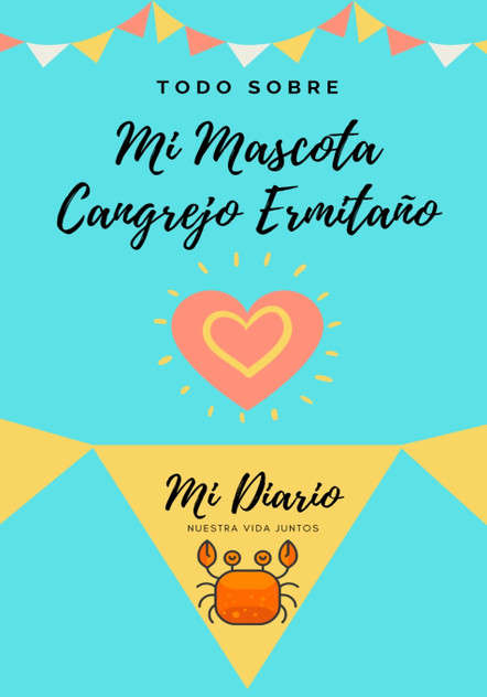 Todo Sobre Mi Mascota Cangrejo Ermitaño