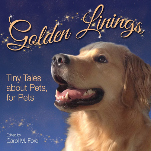 Golden Linings Golden Linings