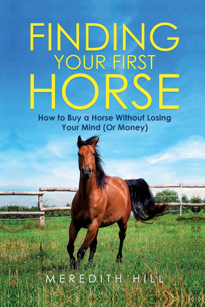 Finding Your First Horse Finding Your First Horse