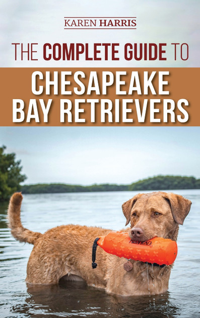 The Complete Guide to Chesapeake Bay Retrievers The Complete Guide to Chesapeake Bay Retrievers