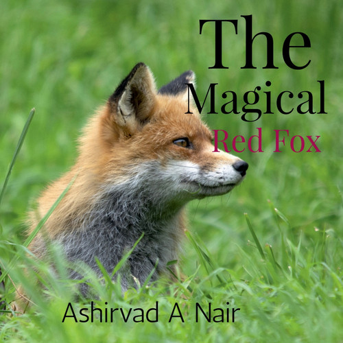 The Magical Red Fox The Magical Red Fox