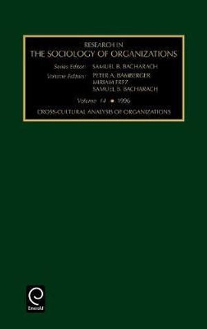 Cross-cultural Analysis of Organizations