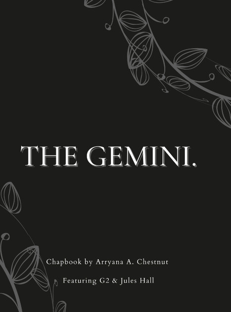 THE GEMINI. THE GEMINI.