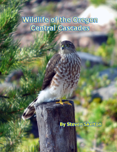 Wildlife of the Oregon Central Cascades Wildlife of the Oregon Central Cascades