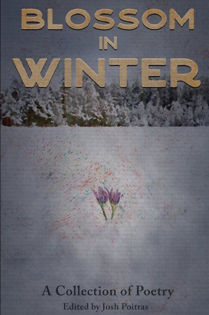 Blossom In Winter Blossom In Winter