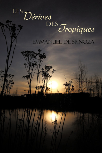 Les Derives Des Tropiques Les Derives Des Tropiques