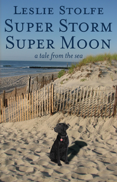 Super Storm Super Moon Super Storm Super Moon