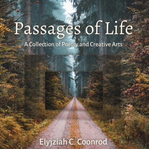 Passages of Life Passages of Life