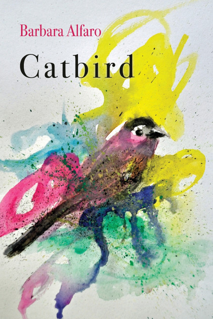 Catbird Catbird