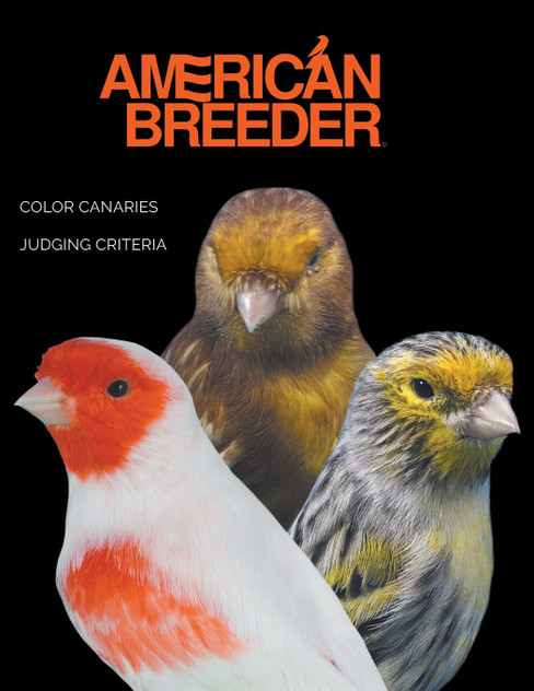 American Breeder American Breeder
