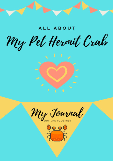 All About My Pet Hermit Crab