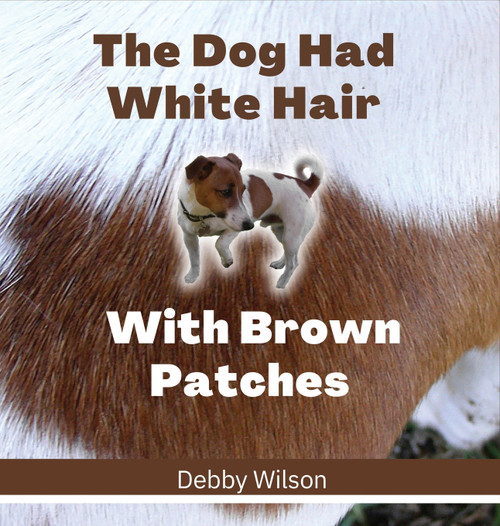 The Dog Had White Hair With Brown Patches The Dog Had White Hair With Brown Patches