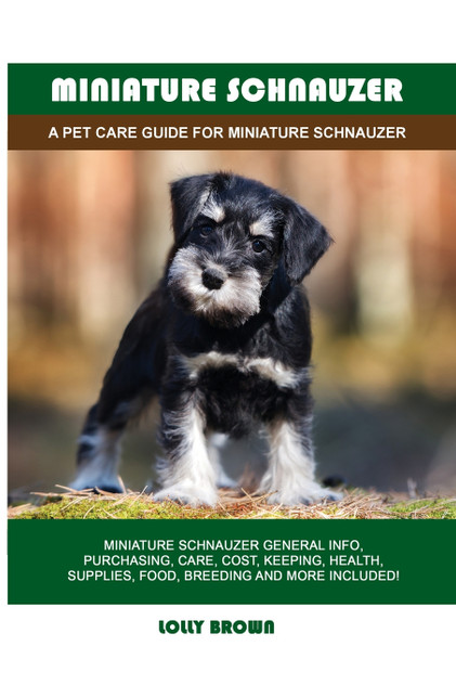 Miniature Schnauzer Miniature Schnauzer