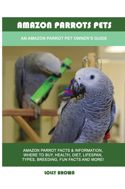Amazon Parrots Pets Amazon Parrots Pets