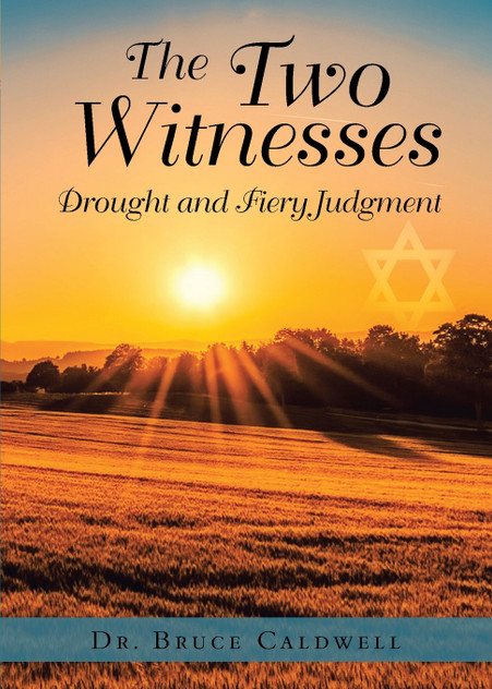 The Two Witnesses The Two Witnesses