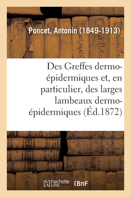 Des Greffes dermo-épidermiques et, en particulier, des larges lambeaux dermo-épidermiques