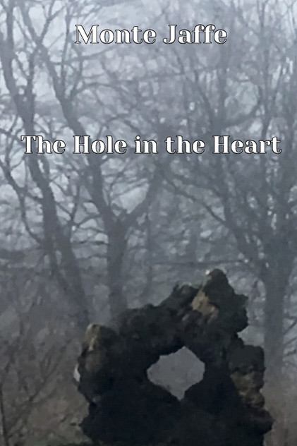 The Hole in the Heart The Hole in the Heart