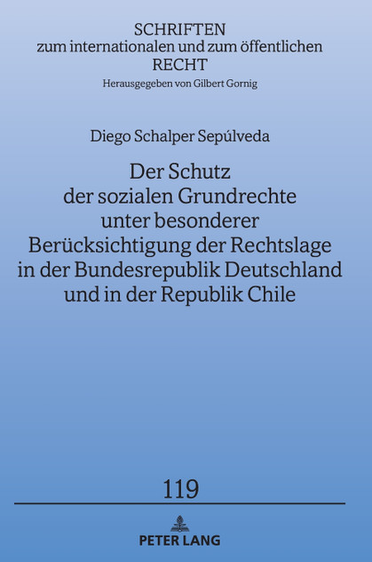 Der Schutz der sozialen Grundrechte unter besonderer Beruecksichtigung der Rechtslage in der Bundesrepublik Deutschland und in der Republik Chile