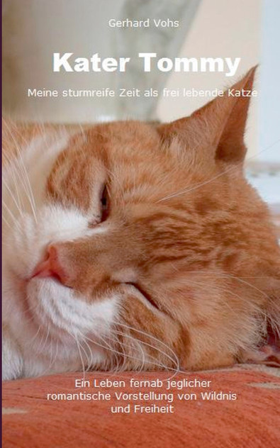 Kater Tommy Kater Tommy