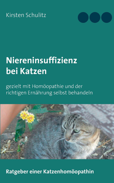 Niereninsuffizienz bei Katzen Niereninsuffizienz bei Katzen