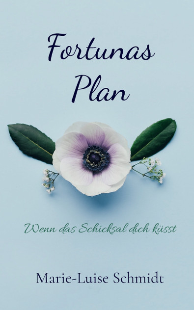 Fortunas Plan Fortunas Plan
