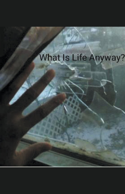 What Is Life Anyway? What Is Life Anyway?