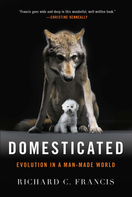 Domesticated Domesticated