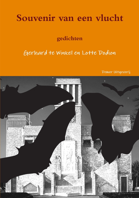 Souvenir van een vlucht