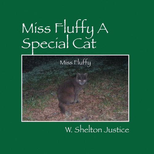 Miss Fluffy A Special Cat Miss Fluffy A Special Cat