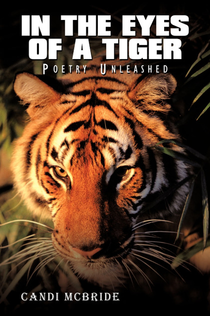 In The Eyes Of A Tiger In The Eyes Of A Tiger