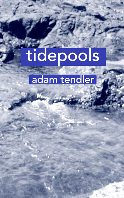tidepools tidepools