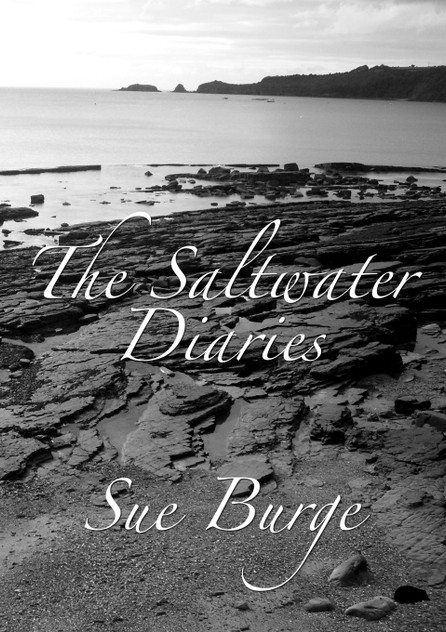 The Saltwater Diaries The Saltwater Diaries