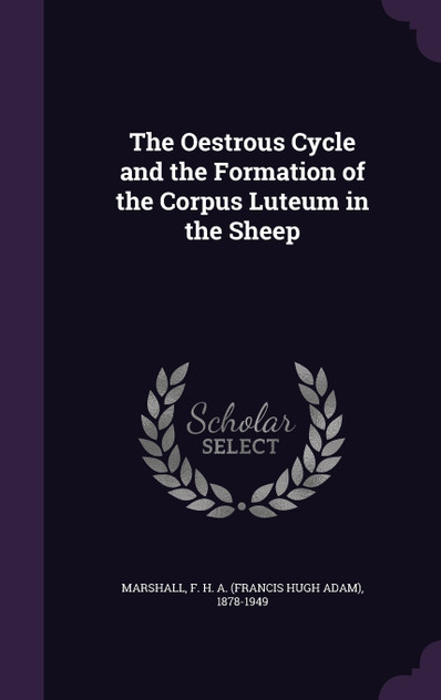 The Oestrous Cycle and the Formation of the Corpus Luteum in the Sheep The Oestrous Cycle and the Formation of the Corpus Luteum in the Sheep