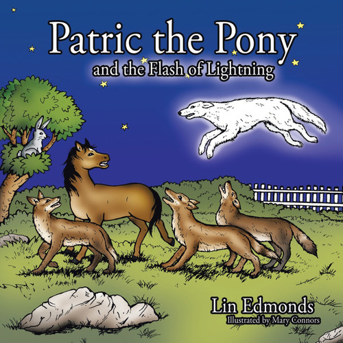 Patric the Pony and the Flash of Lightning Patric the Pony and the Flash of Lightning