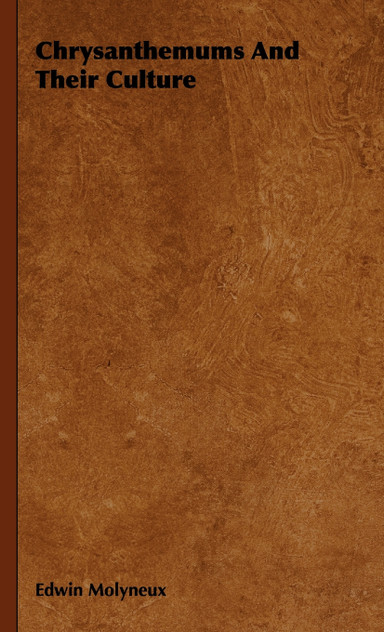 Chrysanthemums and Their Culture